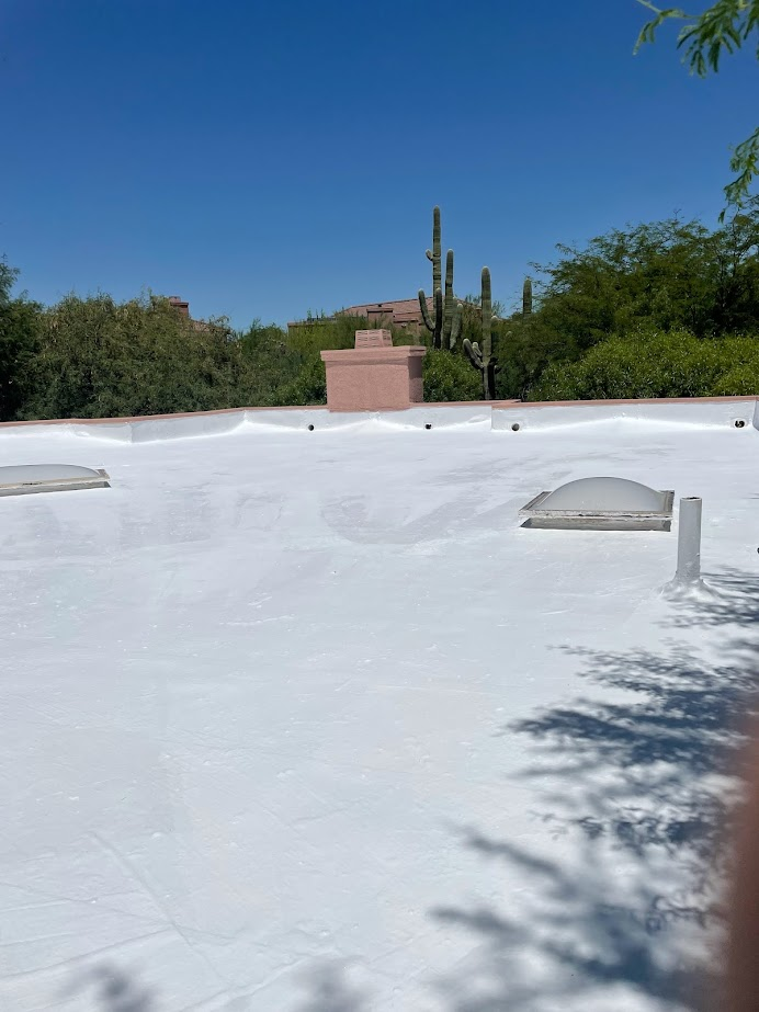 A flat white rooftop with a few skylights under a clear blue sky, protected by Block Sealer. In the background, tall cacti and various green bushes stand tall. This desert-like environment features distant buildings partially visible among the greenery.