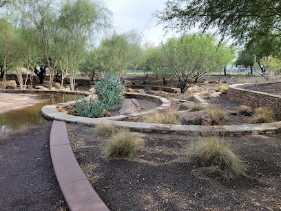 Scottsdale Xeriscape Garden