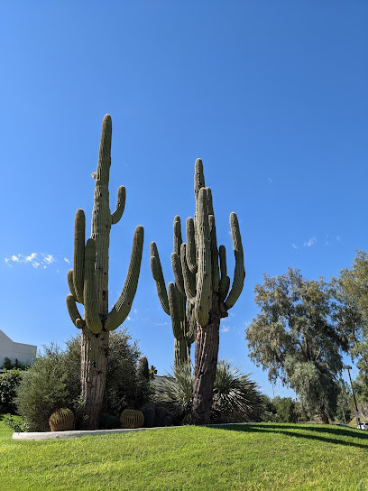 Cactus Park